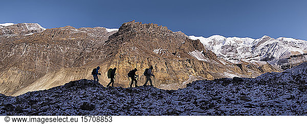 Hikers at Chonbarden Glacier  Dhaulagiri Circuit Trek  Himalaya  Nepal