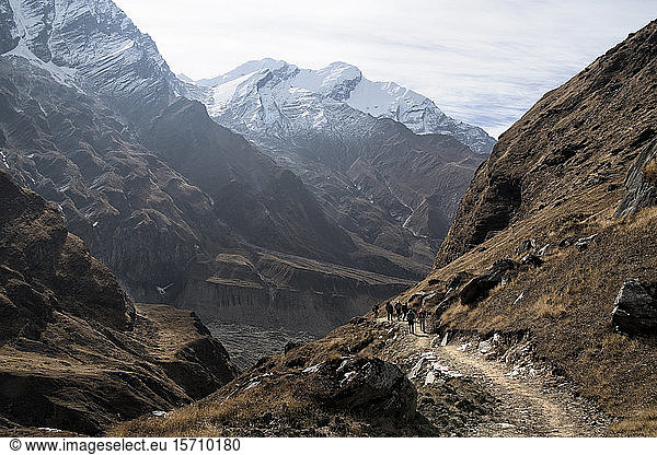 Hikers on Dhaulagiri Circuit Trek  Himalaya  Nepal