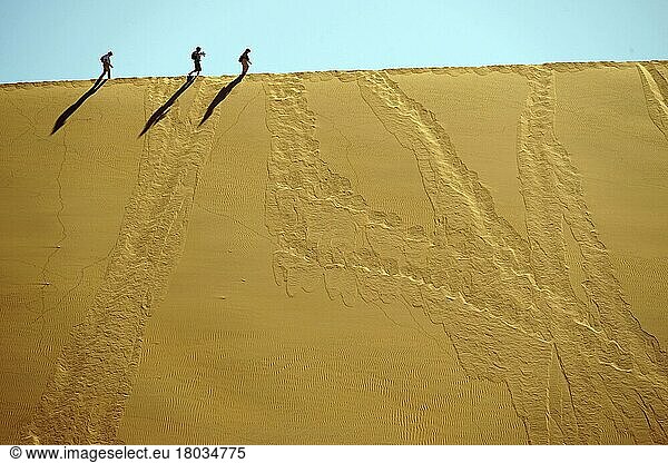 Hikers on Dune  Sossusvlei  Namib  Namib-Naukluft National Park  Namibia  Namib Desert Sea  Republic of Namibia  Africa