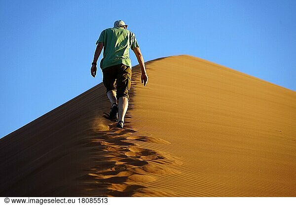 Hikers on Dune 45  Sossusvlei  Namib  Namib-Naukluft National Park  Namibia  Namib-Duenenmeer  Republic of Namibia  Africa