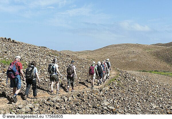 Hiking group  barren landscape  hikers walking one behind the other on hiking trail through lava-tuff rock at Calderón Hondo volcano near Lajares  Fuerteventura  Canary Islands  Spain  Europe