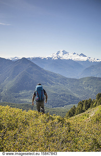 Hiking in alpine meadows with view of Mount Baker  Washington.