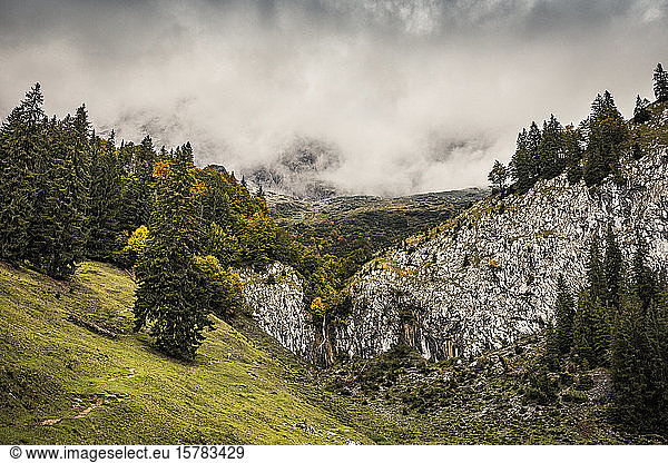 Hiking trail before cloud-covered mountains  Kitzbuehel  Kaiser mountains  Tyrol  Austria