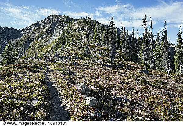 Hiking trail through vast alpine wilderness  along the Pacific Crest Trail