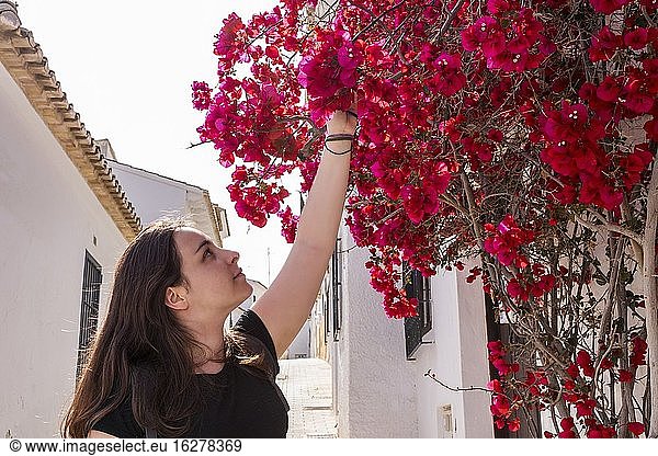 Hiking woman observing and picking flowers (bougainvillea) through the streets of Altea (Alicante  Spain).
