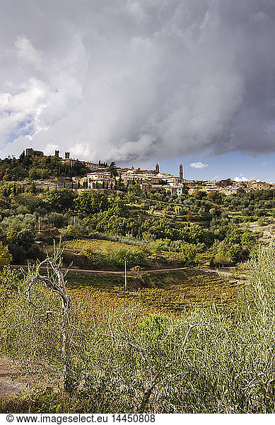 Hill Town of Montalcino