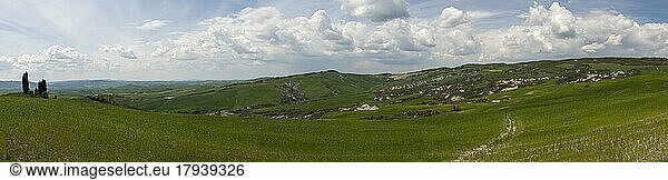 Hilly landscape  Crete Senesi  Province of Siena  Tuscany  Italy  Europe