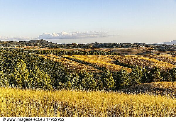 Hilly landscape in the evening light  near Trequanda  Tuscany  Italy  Europe