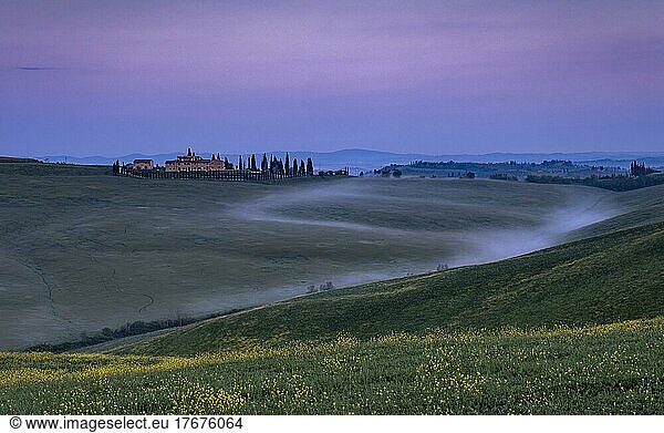 Hilly landscape with cypresses (Cupressus)  typical country house  sunrise  Crete Senesi  province of Siena  Tuscany  Italy  Europe