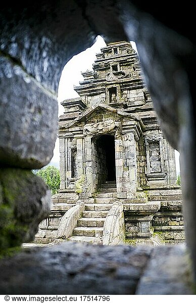 Hindu-Tempel im Candi Arjuna-Tempelkomplex  Dieng-Plateau  Zentral-Java  Indonesien  Asien