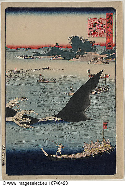Hiroshige II  Utagawa (also: Kisai Rissho or Ryusho and Shigenobu) 1826–1869.'Hizen goto kujiraryo no zu' ('Whale hunting at the island of Goto in Hizen')  1859/1860.(Whalers armed with harpoons hunting whales).Woodcut  colour  35 4 x 24 1 cm.From the series: Shokoku meisho hyakkei(One Hundred Views of Famous Places in the Provinces).