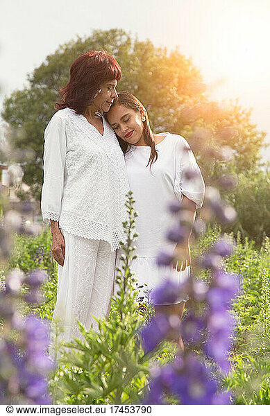 Hispanic Mother hugging her daughter at flower field during sunset