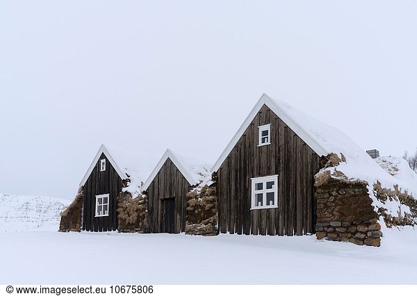 Historic and traditional farm buildings with sod roofs in Holar during winter. Holar is a famous archaeological site and is home to the Holar University Collage focusing on agriculture  horse breeding and tourism. europe  northern europe  iceland  March.