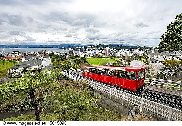 Historic cog railway  Wellington Cable Car  Wellington Region  North Island  New Zealand  Oceania