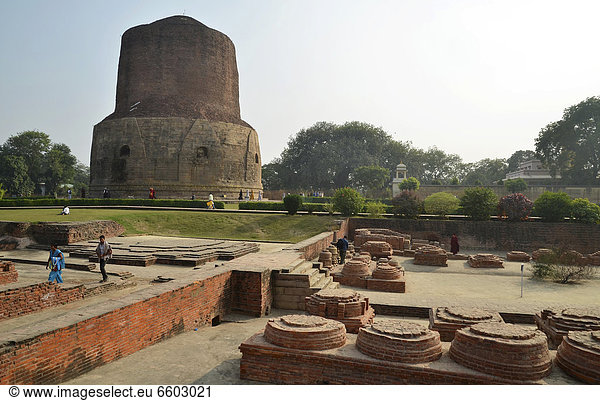 Historische Pilgerstätte des Buddhismus Dhamekh Stupa Wildpark von Isipatana Sarnath Uttar Pradesh Indien Südasien Asien