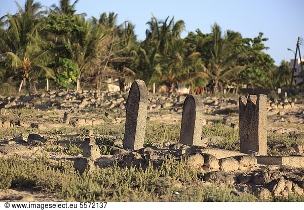 Historischer arabischer Friedhof am Al-Baleed Ausgrabungsfeld  Unesco Weltkulturerbe  Salala  Salalah  Oman  Arabische Halbinsel  Naher Osten