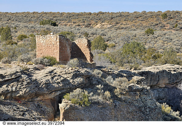 Historischer Bau der Ancestral Puebloans  Rim Rock House  um 1200 n. Chr.  Little Ruin Canyon  Hovenweep National Monument  Colorado  USA