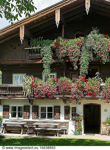 Historisches Bauernhaus im typischen Stil des Chiemgaus. Dorf Sachrang - Mitterleiten im Chiemgau in den bayerischen Alpen. Europa  Deutschland  Bayern.