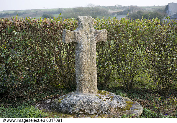 Historisches Steinkreuz vor einer Hecke  Plouarzel  DÈpartement FinistËre  Bretagne  Frankreich  Europa
