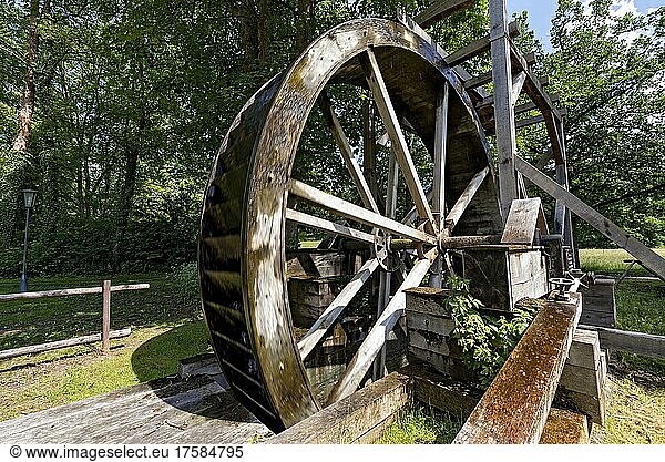Historisches Wasserrad  Antrieb der Solepumpen  Kurpark  Kurort  Bad Salzhausen  Nidda  Wetteraukreis  Hessen  Deutschland  Europa