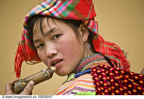 Hmong-Mädchen isst Zuckerrohr