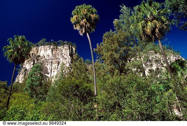 hoch oben über Turm Felsenküste 200 Australien Carnarvon Queensland Sandstein
