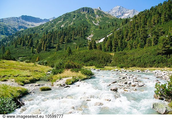 Hochgebirgsblick auf baumbestandene Berge und Flüsse im Naturpark Zillertal  Hochgebirgs Naturpark  Tirol  Österreich