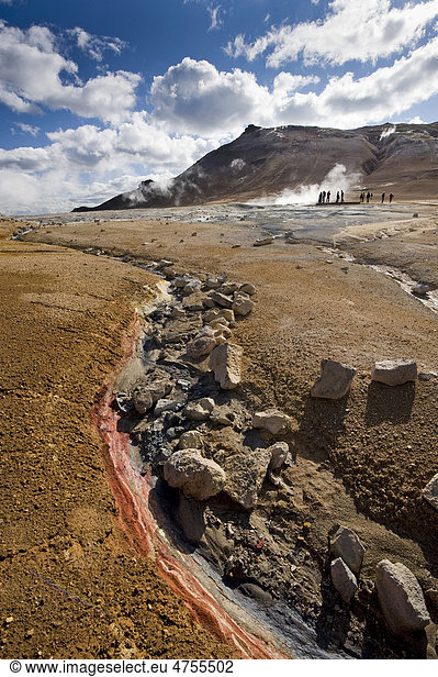 Hochtemperaturgebiet N·maskar_ bei M_vatn Nordisland Island Europa