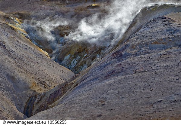 Hochtemperaturgebiet Namafjall  mit aufsteigendem Dampf  Solfatare  Myvatn-Gebiet  Island  Europa