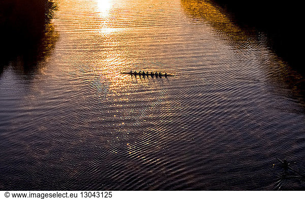 Hochwinkel-Distanzansicht von Menschen  die bei Sonnenaufgang auf dem Lady Bird Lake segeln