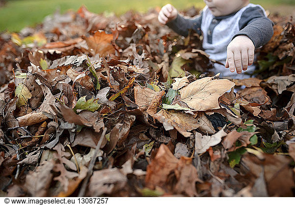 Hochwinkelansicht eines auf trockenen Blättern sitzenden Jungen