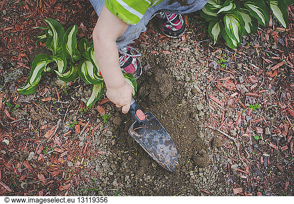 Hochwinkelansicht eines Mädchens  das im Garten mit einer Kelle Erde gräbt
