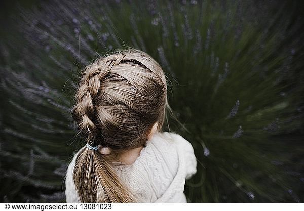 Hochwinkelansicht eines Mädchens mit spielender Frisur inmitten eines Lavendelfeldes