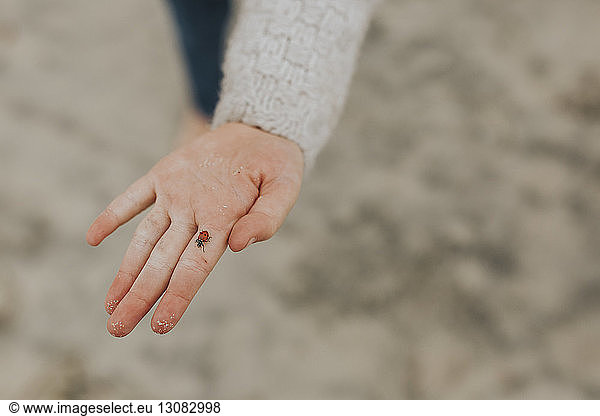 Hochwinkelansicht eines Marienkäfers am Finger des Mädchens