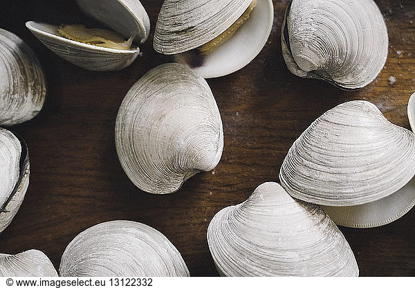 Hochwinkelansicht von Muscheln auf nassem Holztisch