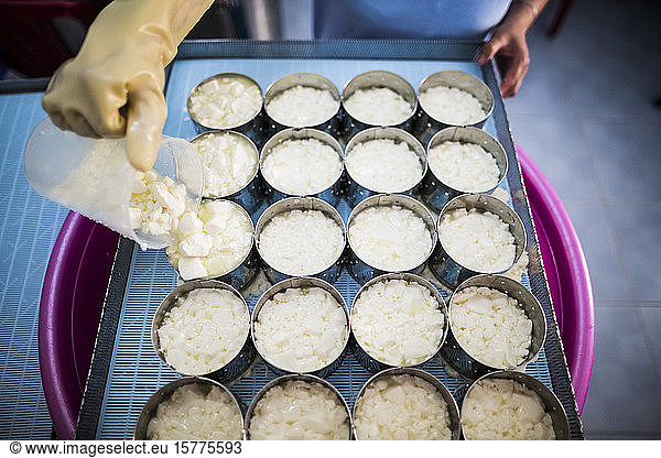 Hochwinkelaufnahme der Käseherstellung  Portionierung von Camembertkäse in Formen.