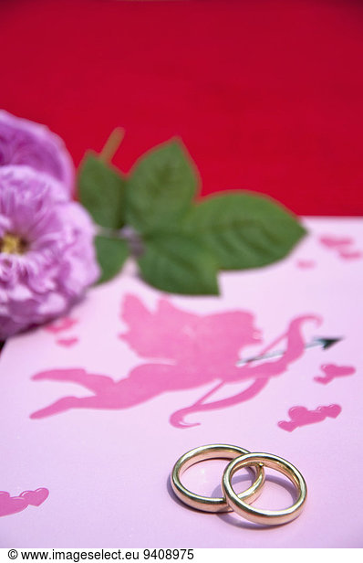 Hochzeit Close-up Rose Karte