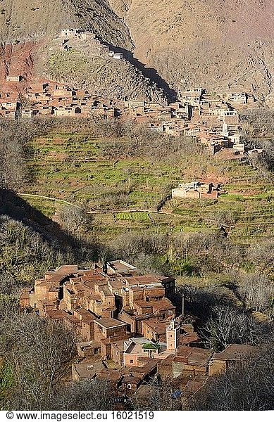 Hohes Atlasgebirge mit Berberdörfern und -häusern sowie Anbauterrassen. Azzaden-Tal. Marokko.
