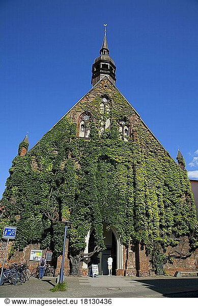 Holy Spirit Church  Stralsund  Mecklenburg-Western Pomerania  Holy Spirit Church  facade greening  Germany  Europe