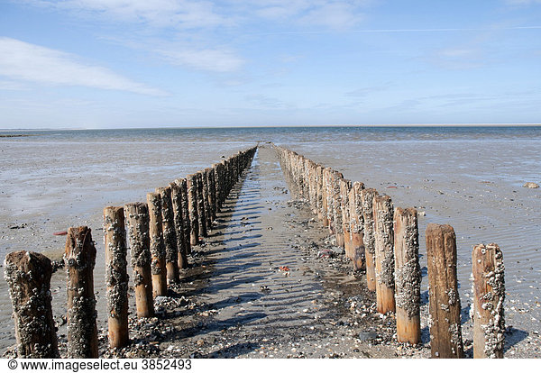 Holzbuhnen an der Küste Wellenbrecher Strandschutz Insel Spiekeroog Nordsee Niedersachsen Deutschland Europa