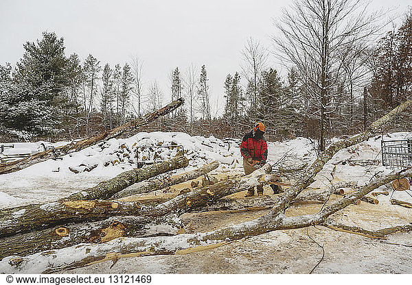 Holzfäller schlagen im Winter Stämme im Wald