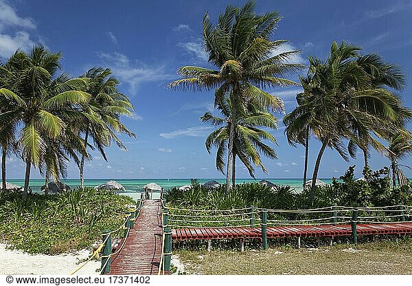 Holzsteg zum Strand  Kokosplamen (Cococ nucifera)  hinten Lagune  Hotel Brisas  Playa St. Lucia  Provinz Camagüey  Karibik  Kuba  Mittelamerika