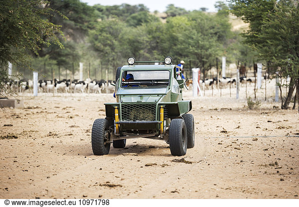 Homemade dune buggy riding on a sheep farm; Koes  Namibia
