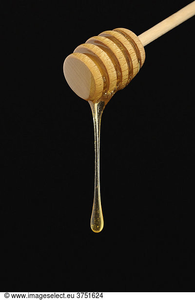 Honig tropft von einem Dripper