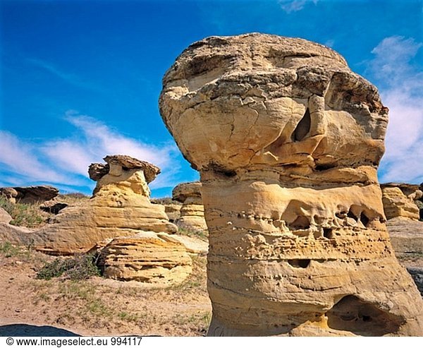Hoodoos (Pilz geformte Felsformationen) in Drumheller Valley. Alberta. Kanada