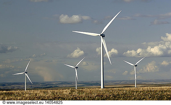 Hopkins Ridge Wind Farm  Washington