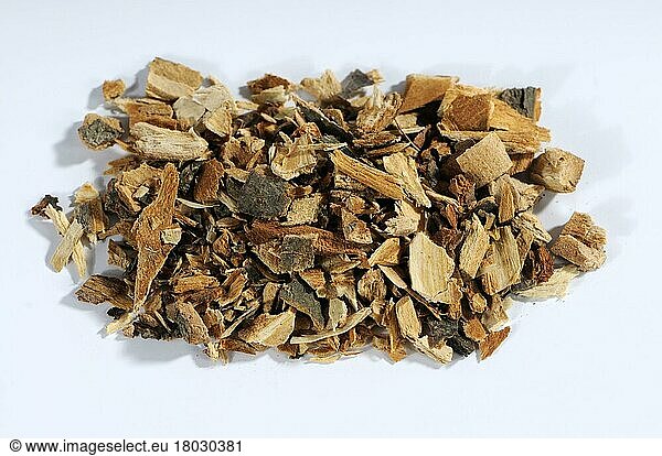 Horse chestnut  bark (Aesculus hippocastanum)  chestnut  chestnut bark