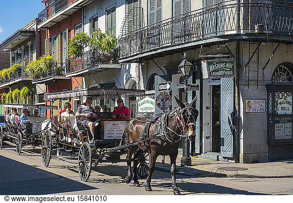 Horse-drawn carriage and buildings on Bourbon St.  New Orleans  Louisiana  United States