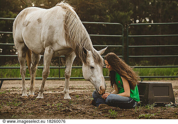 Horse gently touching young teen girls hand