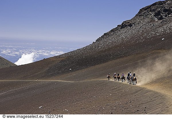 Horse Riding at Crater of Haleakala Volcano  Maui  Hawaii  USA